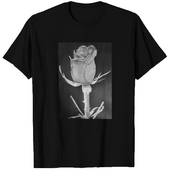 Realistic Graphite Rose & Dew Drawing - RT Art © T Shirts