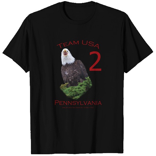USA, Pennsylvania T Shirts