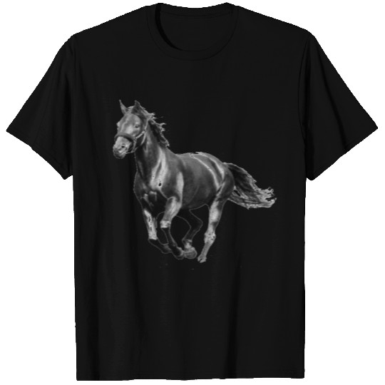 BLACK STALLION HORSE T Shirts