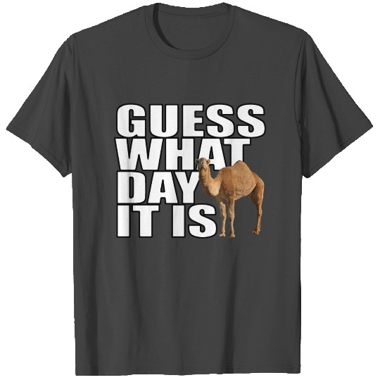 Hump Day Camel Guess What Day It Is T Shirts