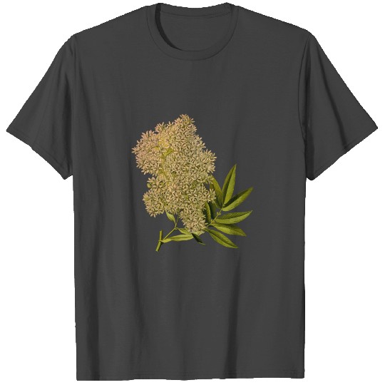 African redwood (low resolution) T Shirts