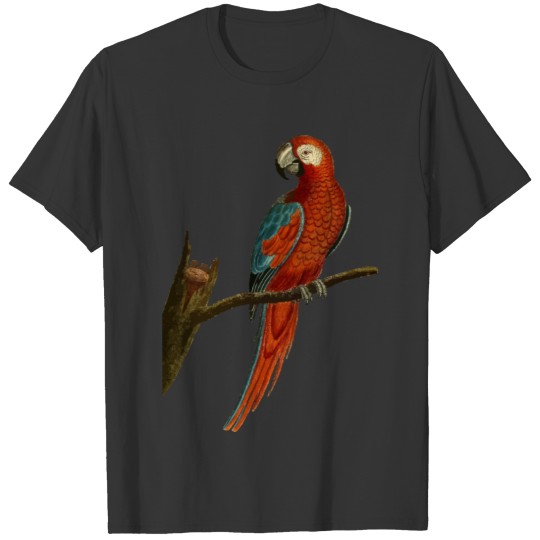 Vintage Deep Red Parrot Illustration T-shirt