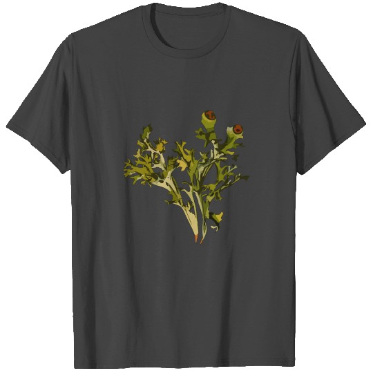 Iceland moss (smaller file) T Shirts