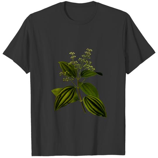 Ceylon cinnamon (detailed) T-shirt