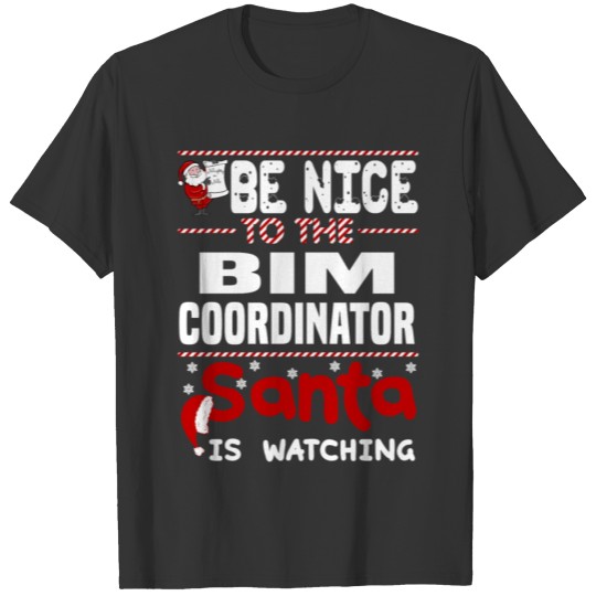 BIM Coordinator T-shirt