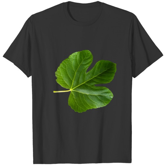 Fig tree Single Green leaf closeup isolated T-shirt