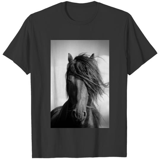 Friesian stallion in the wind. T-shirt