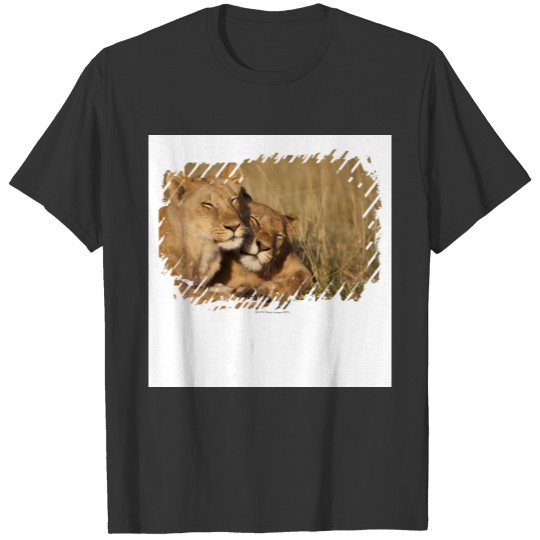 Lions | Africa, Kenya, Masai Mara Game Reserve T-shirt