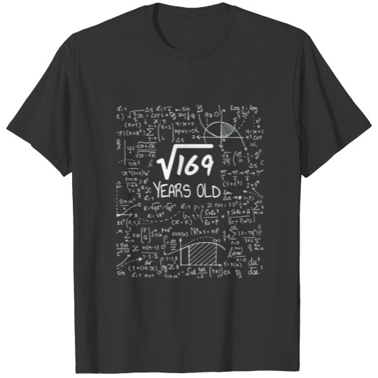 13Th Birthday Square Root Of 169: 13 Years Old T-shirt