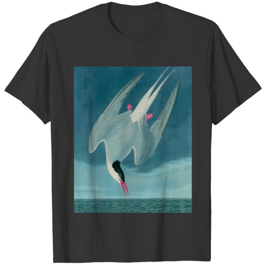 Arctic Tern Birds of America Audubon Print T-shirt