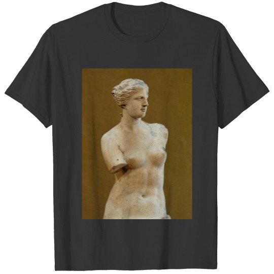 Venus de Milo T-shirt