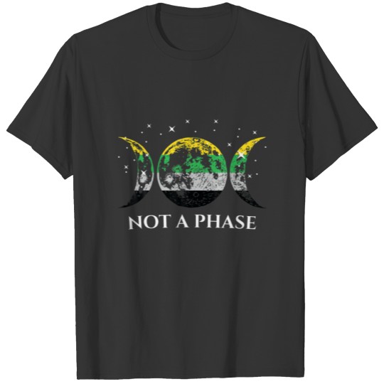 Funny Skoliosexual Pride Flag Not A Phase T-shirt