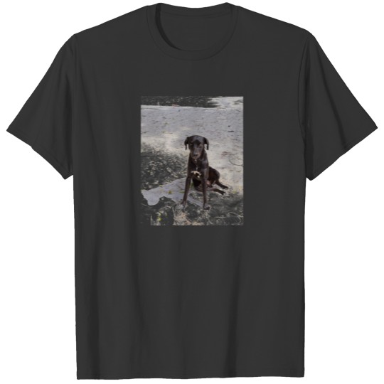 Black dog with an evil eye T-shirt
