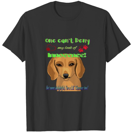 BEST DACHSHUND GIFTS FUNNY WIENER DOG MY LOOK OF I T-shirt