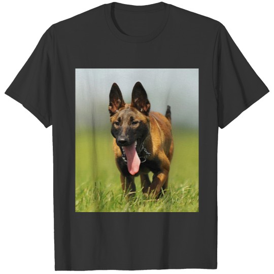 Belgian Shepherd Dog T-shirt
