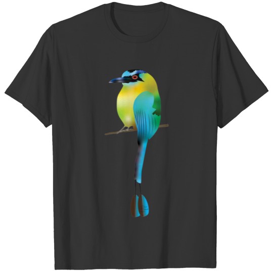 Lessons Motmot, Bird, Illustration, Birds, T-shirt
