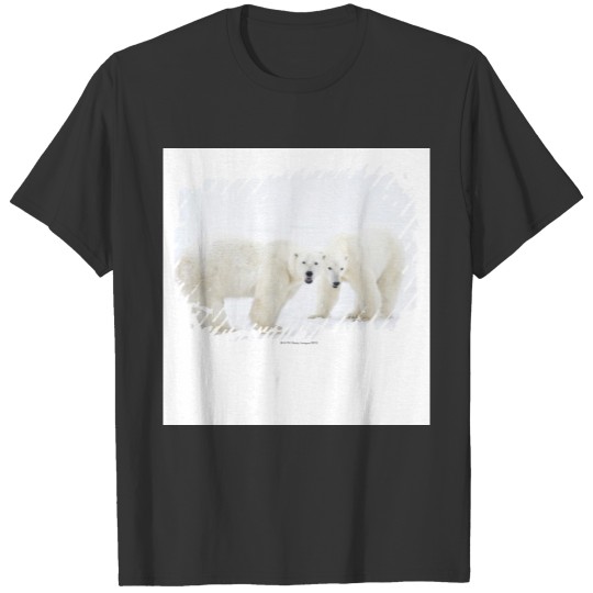 Polar Bears standing on snow after playing 2 T-shirt