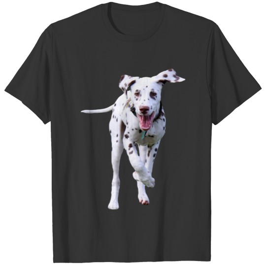 Dalmatian puppy dog ladies , gift idea T-shirt
