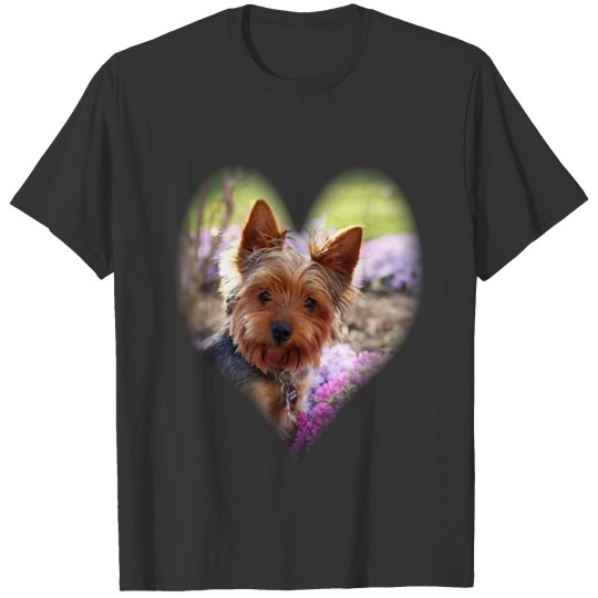 Yorkshire Terrier  photo custom T-shirt