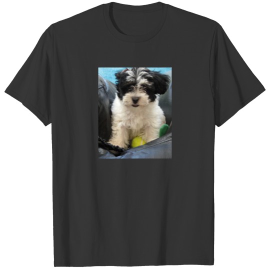 Havanese Rescue Puppy Black White T-shirt