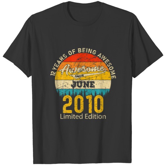 12 Year Old Born In May 2010 Vintage 12Th Birthday T-shirt