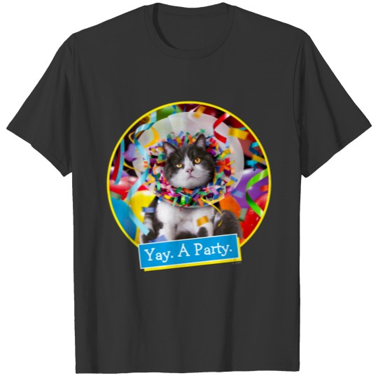 Cat In Party Cone T-shirt