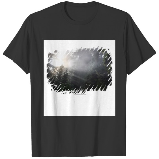 Fog & Sun Beams in a Washington Forest T-shirt