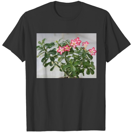 Desert Rose Flowers Plant T-shirt