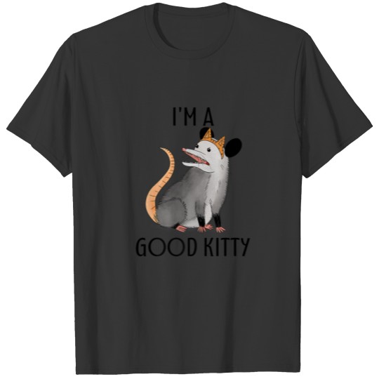 I'm A Good Kitty Possum Racoon Rat Street Cat Funn T-shirt
