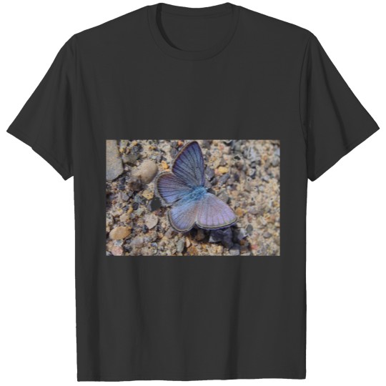 Light blue butterfly T-shirt