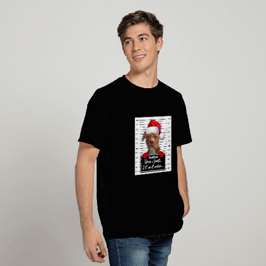 Pitbull Pet Bully Dear Santa I Can Explain Funny Christmas Pitbull Terrier T-Shirts