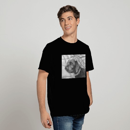 Riley the Chocolate Lab T Shirts