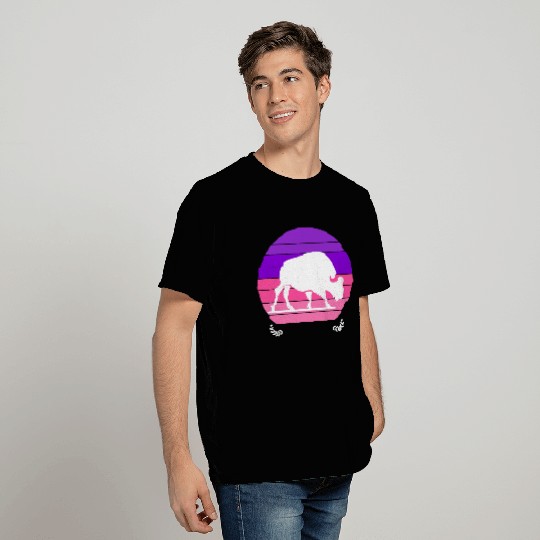 Buffalo Sunset T Shirts