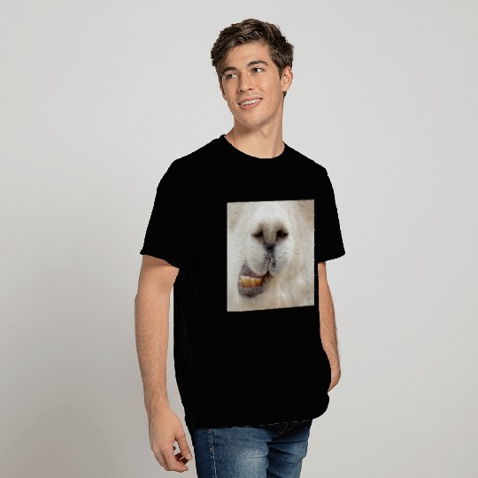 Alpaca T Shirts
