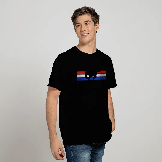Ford Bronco Logo Stripes T Shirts