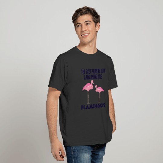 Flamingo Bird Funny Quote Zoo Animal Gift T Shirts