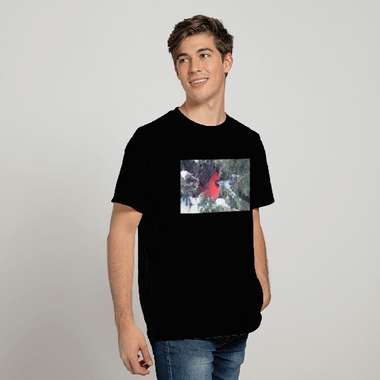 Cardinal Bird 1 T Shirts