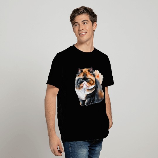 Persian Cat - Black, White, and Orange T Shirts
