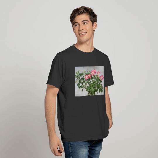 Desert Rose Flowers Plant T-shirt