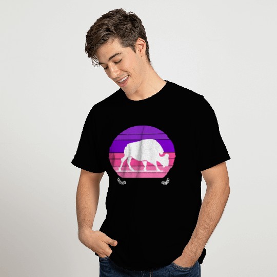 Buffalo Sunset T Shirts