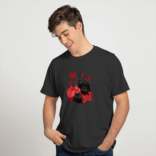 Cat Black Cat Valentine Gift Box Heart Flower Kitt T-shirt