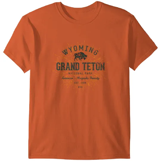Vintage Grand Teton National Park T-shirt