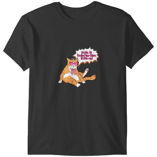 Anti-Hero Cat Taylorr Swift T-Shirts