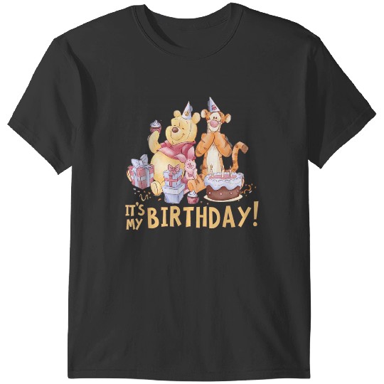 Disneyss Winnie The Pooh Its My Birthday T-Shirts