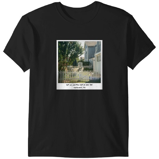 Discover Nantucket Taylor August Lyrics (1) T-Shirts