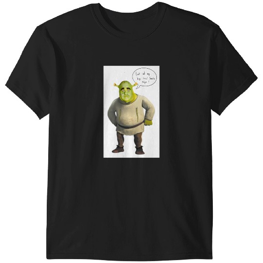 Discover Long nip shrek  2: Shrek Same Swamp Forever , Shrek Shirt, Disney Fiona Princess , Shrek,Shrek T-Shirts