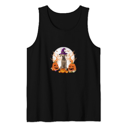Dog Halloween Weimaraner Dog Jack O Lantern Pumpkin 42 Tank Tops