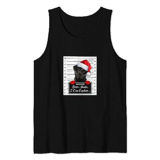 Labrador Lab Dog Dear Santa I Can Explain Funny Christmas Labrador Xmas Tank Tops