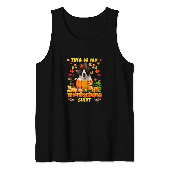 Dog Saint Bernard In Pumpkin This Is My Thanksgiving Tank Tops