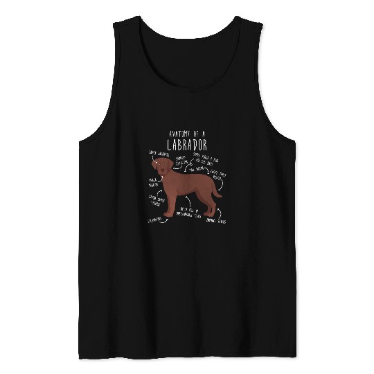 Labrador Pet Chocolate Labrador Retriever Anatomy Funny Cute Dog Lab Mom Tank Tops